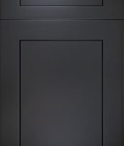 Onyx Black Shaker